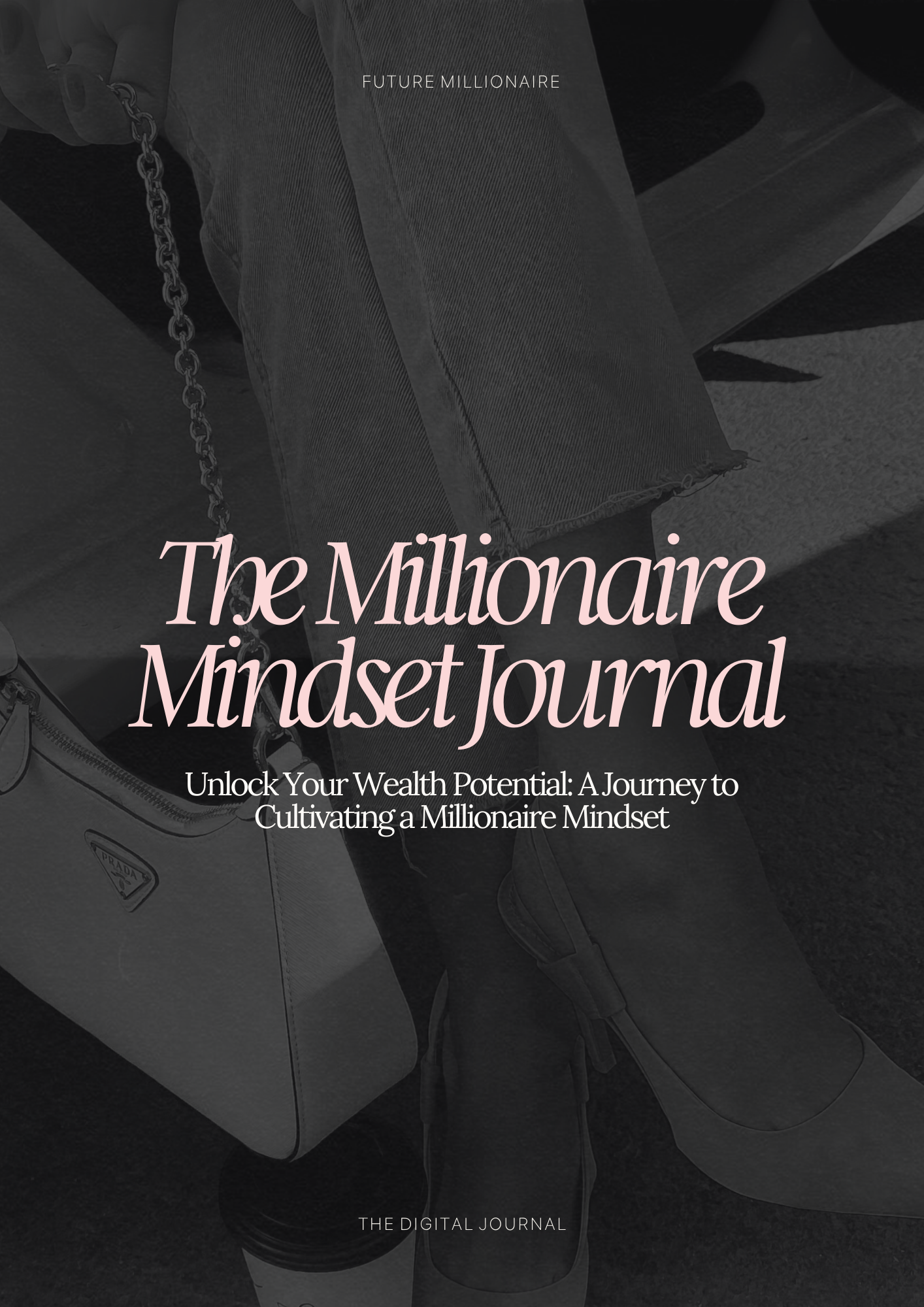 The millionaire mindset journal